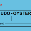 NUDO "Oyster" Showcase - Image 2