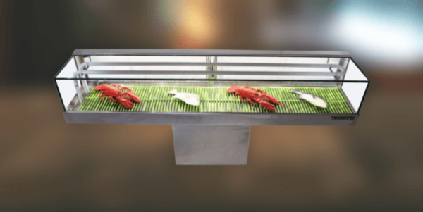 Wide Flat Top Refrigerated Sushi Case (Bottom Mounted)